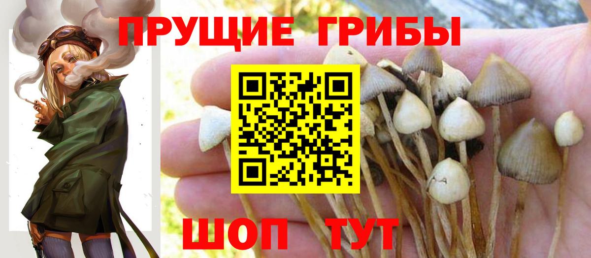 МЕТАДОН Красноярск