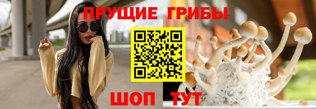Галлюциногенные грибы мицелий  Псилоцибиновые грибы Psilocybe  Красноярск  Вход с VPN 